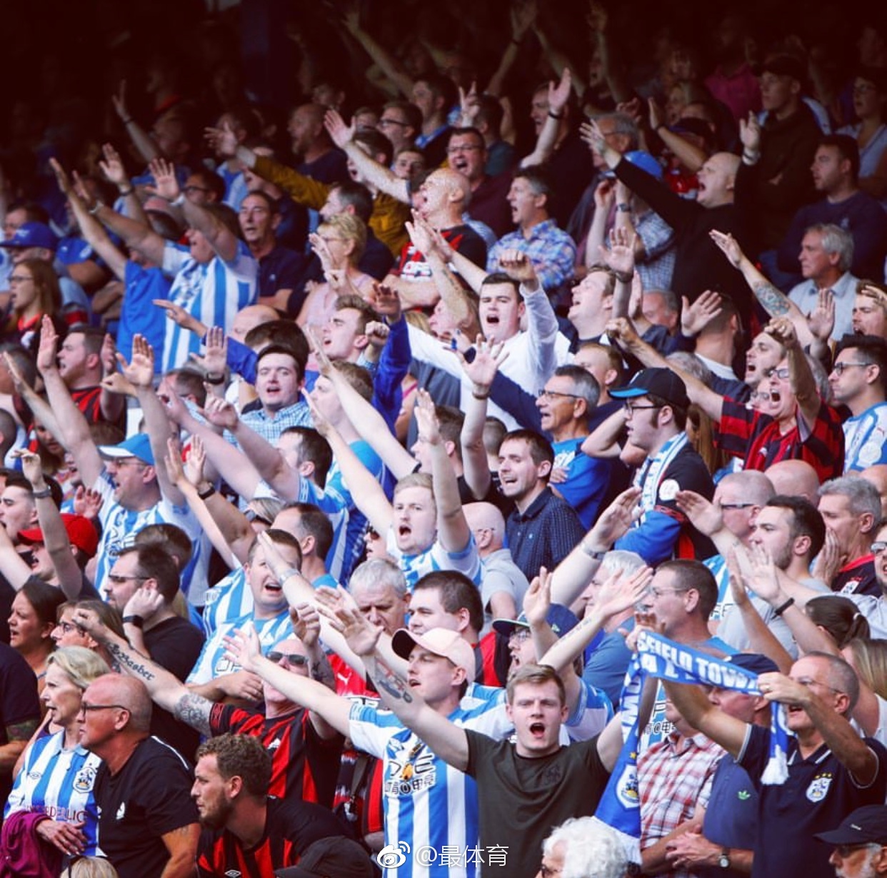球迷的热烈 球迷的热烈